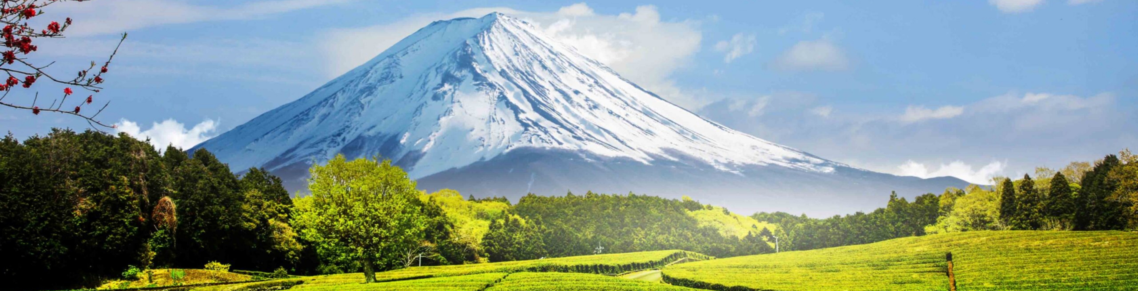 Banner trang hỏi đáp